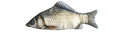 Fish pouch